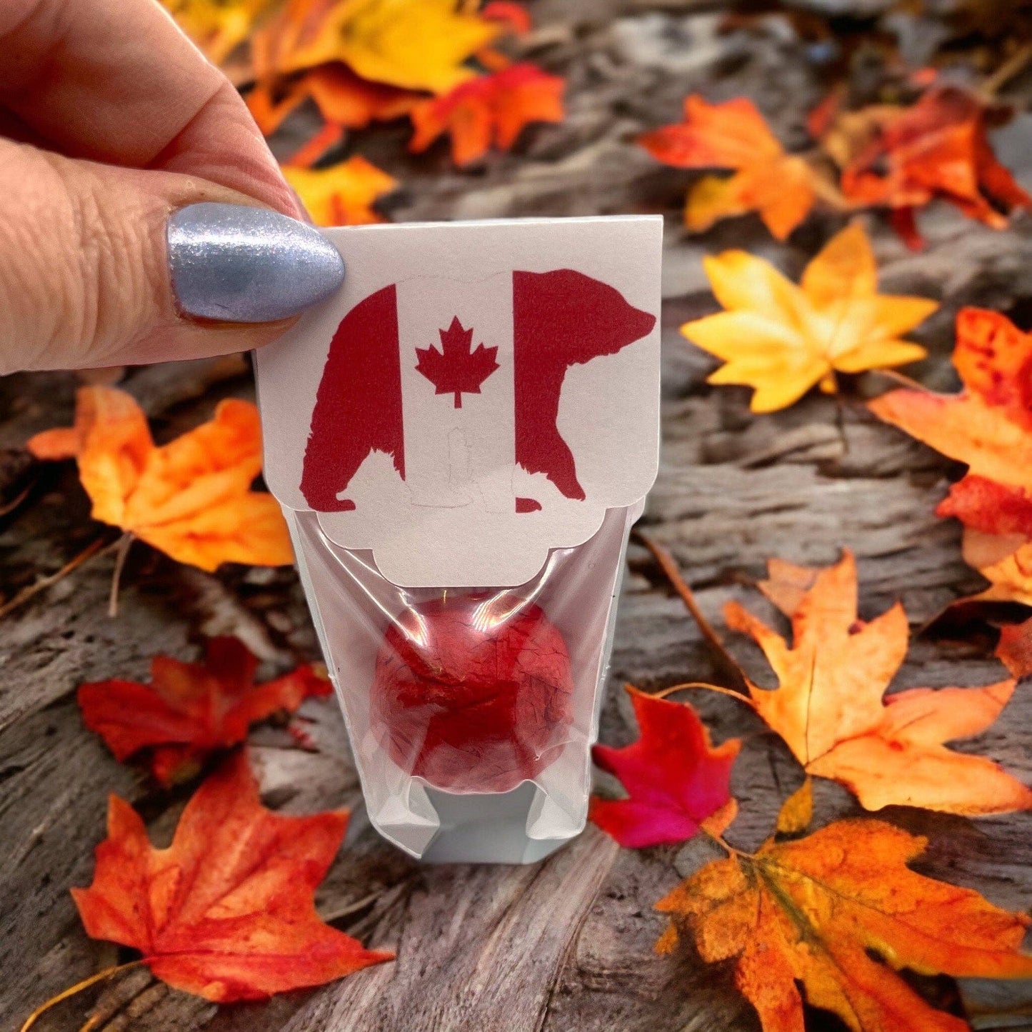 Seed Bombs - Canada- Canadian Wildflowers Fuschia Designs Shop