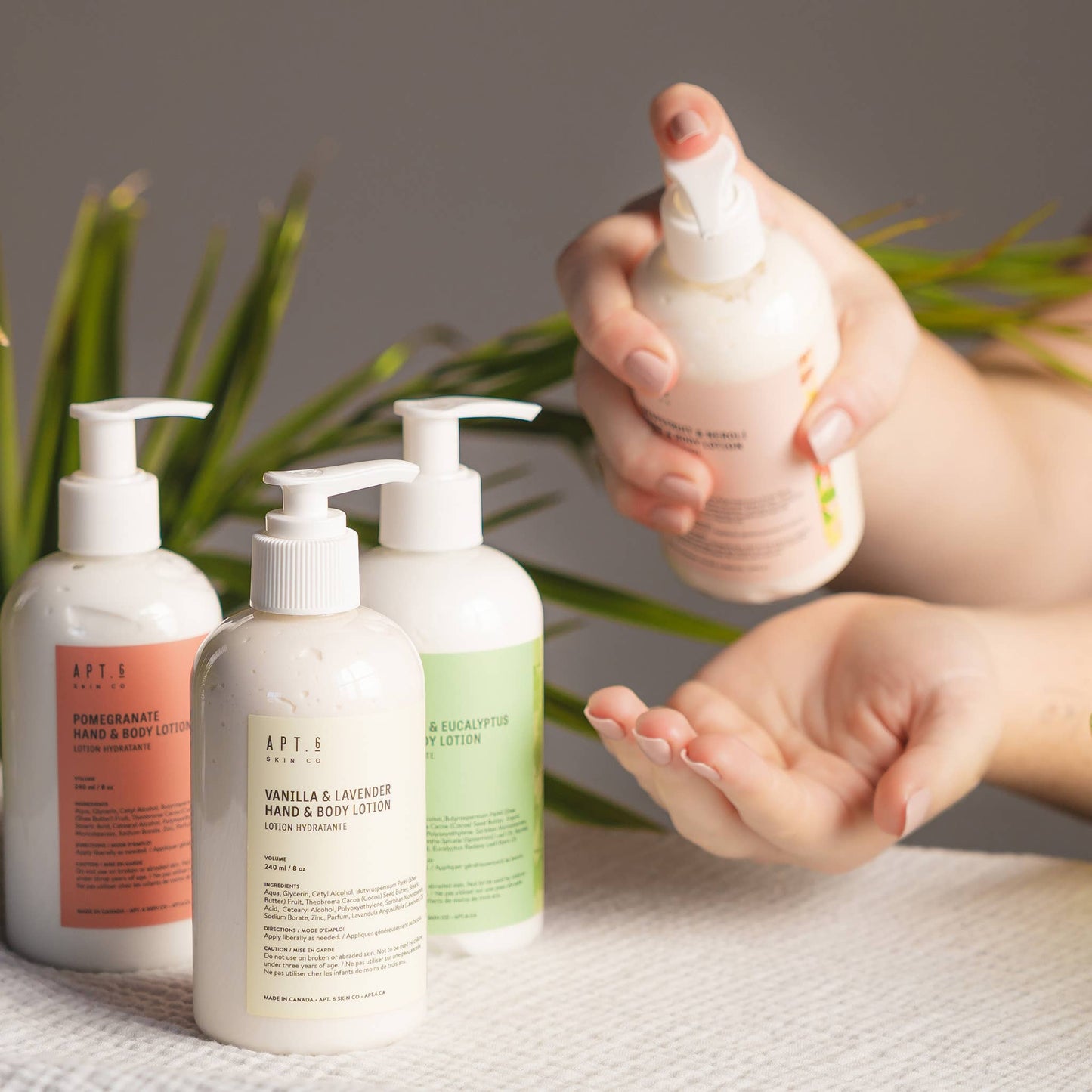 Apt. 6 Skin Co. - Spearmint Eucalyptus Hand & Body Lotion: 8 oz