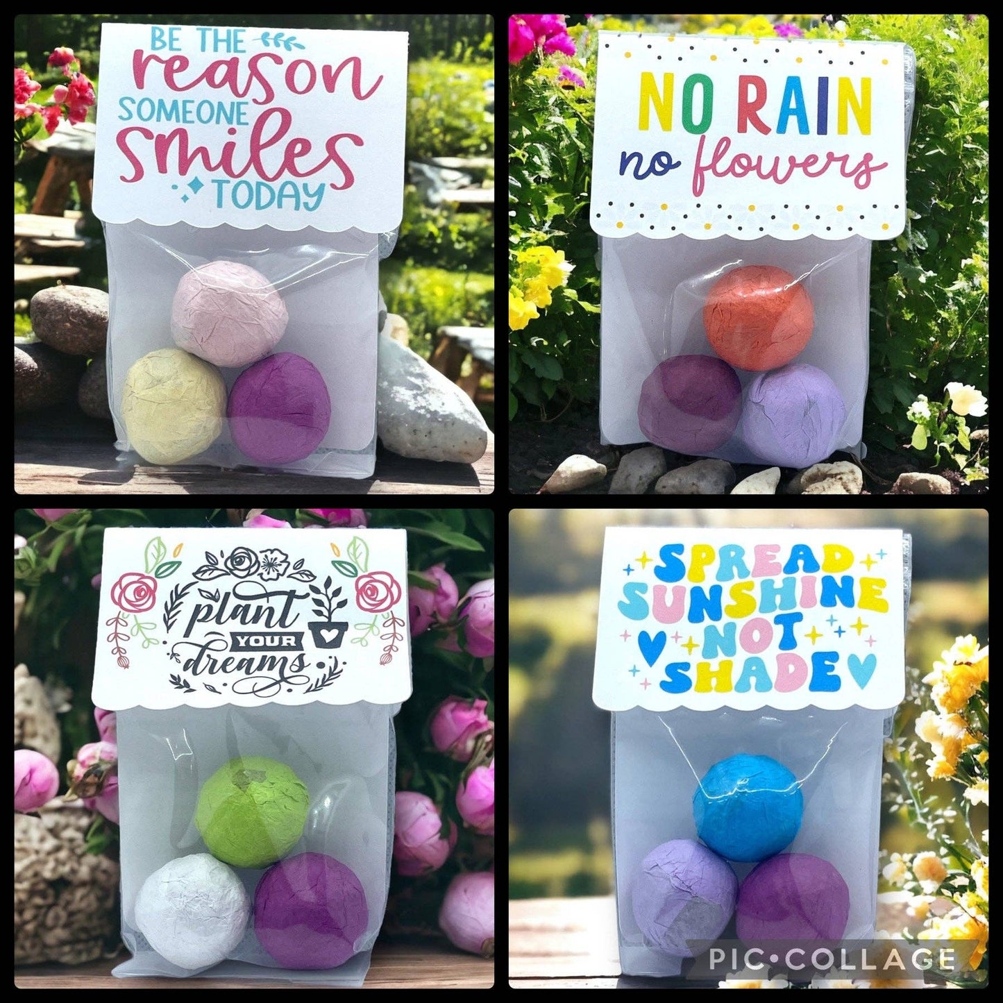 Fuschia Designs Shop - Seed Bombs - Canadian Wildflower - 3 seed bombs /pack