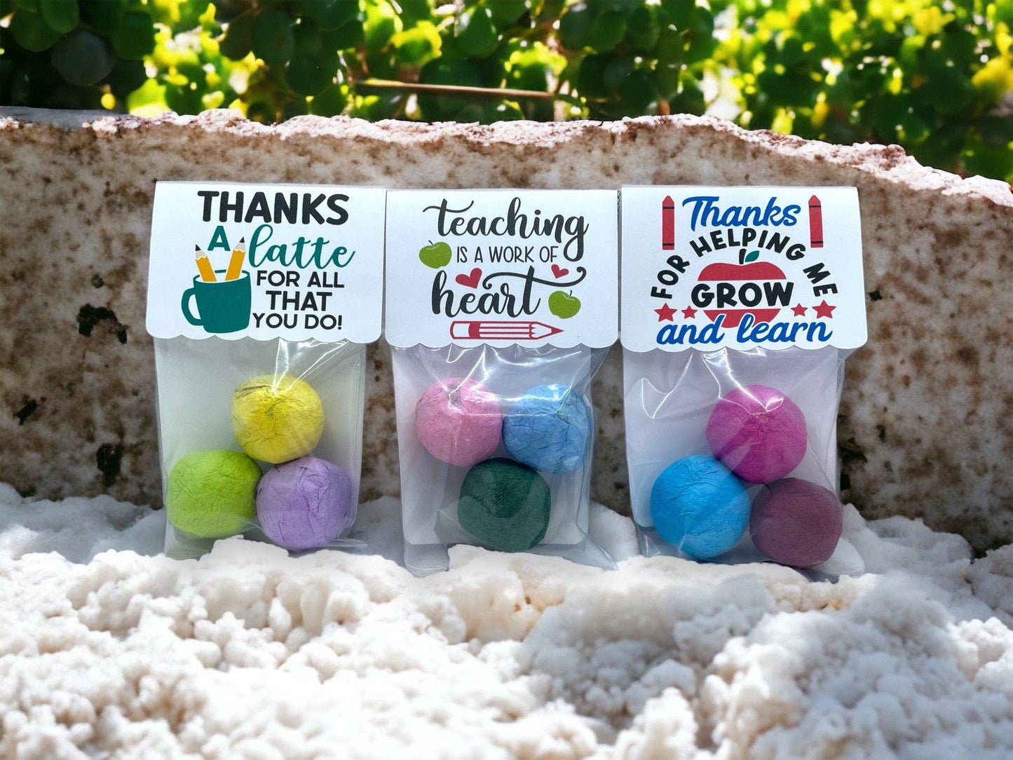Fuschia Designs Shop - Seed Bombs - Teacher Appreciation Gift to Say Thank You