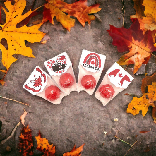 Seed Bombs - Canada- Canadian Wildflowers Fuschia Designs Shop