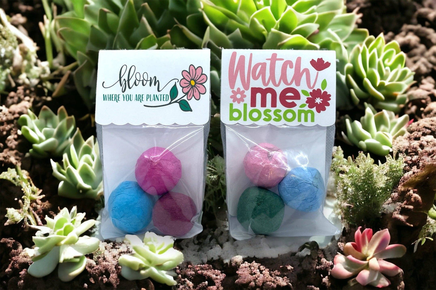 Fuschia Designs Shop - Seed Bombs - Canadian Wildflower - 3 seed bombs /pack