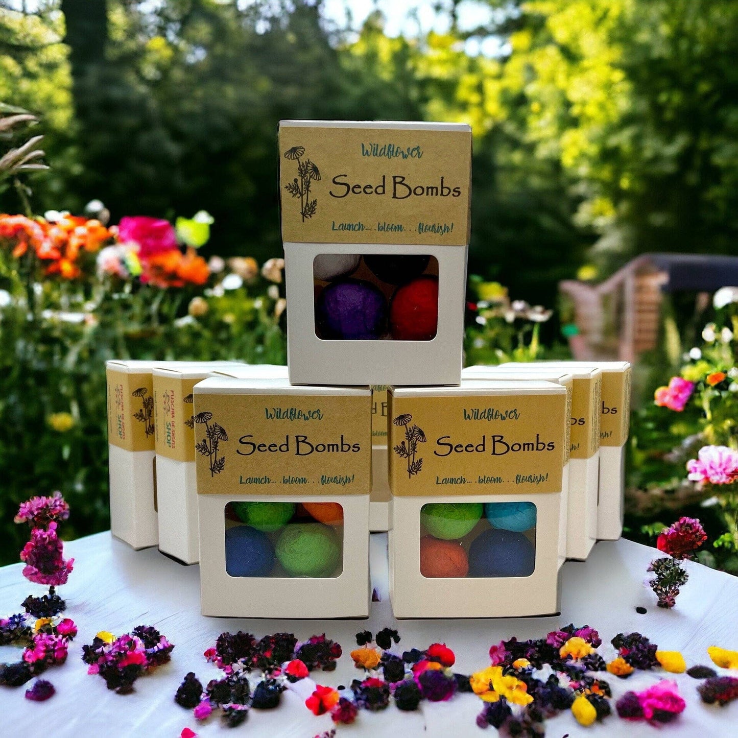 Seed Bombs - 6 Pack - Canadian Wildflower Fuschia Designs Shop