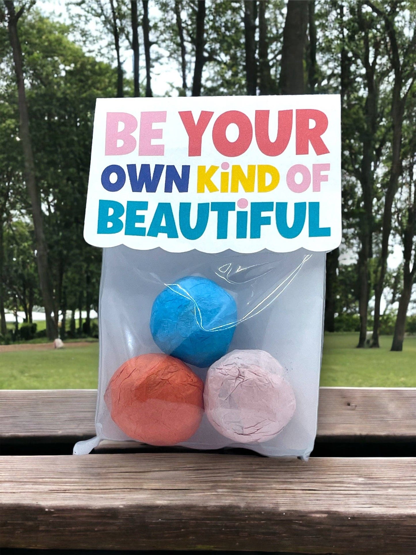 Fuschia Designs Shop - Seed Bombs - Canadian Wildflower - 3 seed bombs /pack