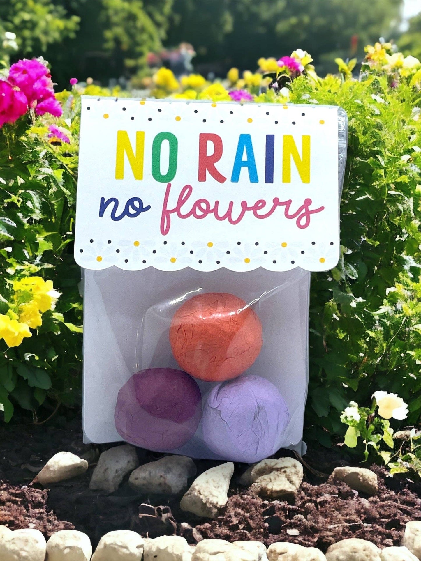 Fuschia Designs Shop - Seed Bombs - Canadian Wildflower - 3 seed bombs /pack