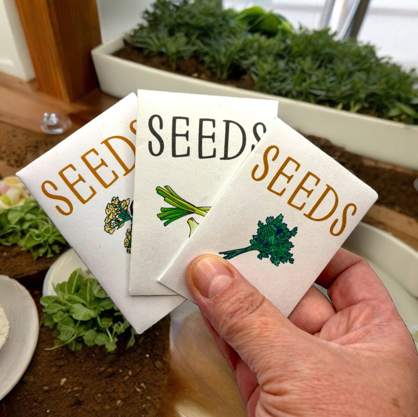Fuschia Designs Shop - Indoor Herb Garden Starter Kit with Parsley, Chives, and Dill Seeds