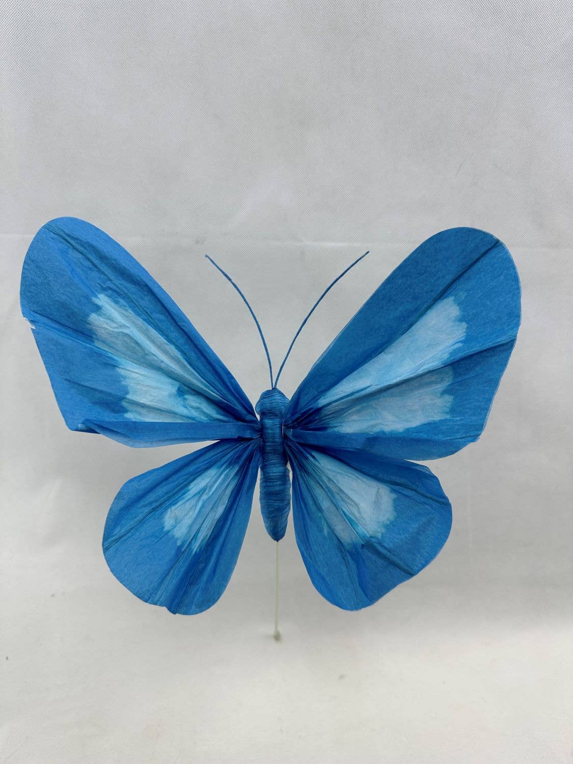 Green Import Limited - AC10447 BUTTERFLY PICK,34": LV