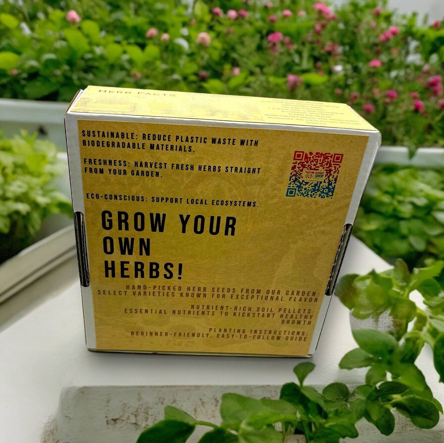 Fuschia Designs Shop - Indoor Herb Garden Starter Kit with Parsley, Chives, and Dill Seeds
