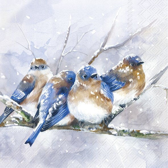CUDDLY BIRDIES (blue) Lunch Paper Napkins by IHR