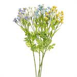 Camomile Flower Stem, 21 Inches High