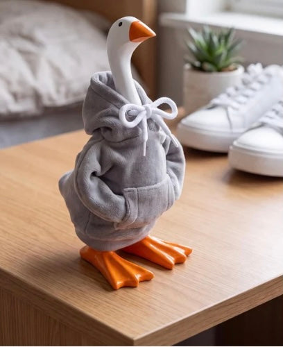 Gordy Outfit - Grey Hoodie