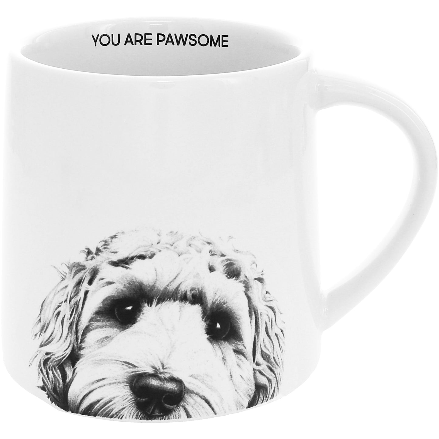 You Are Pawsome Mug- 17 oz Mug