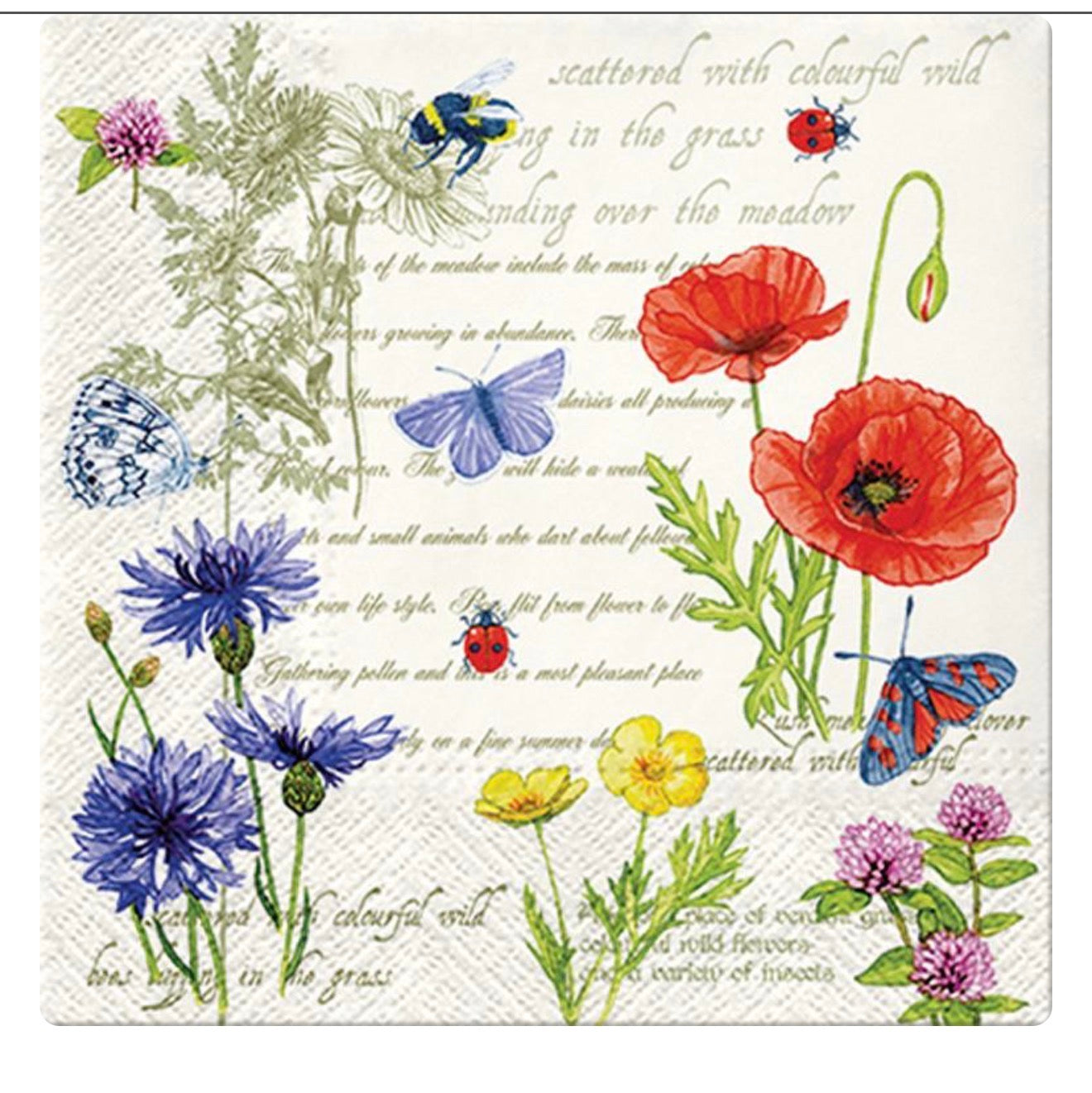Luncheon Vintage Summer Napkins. Pack of 20