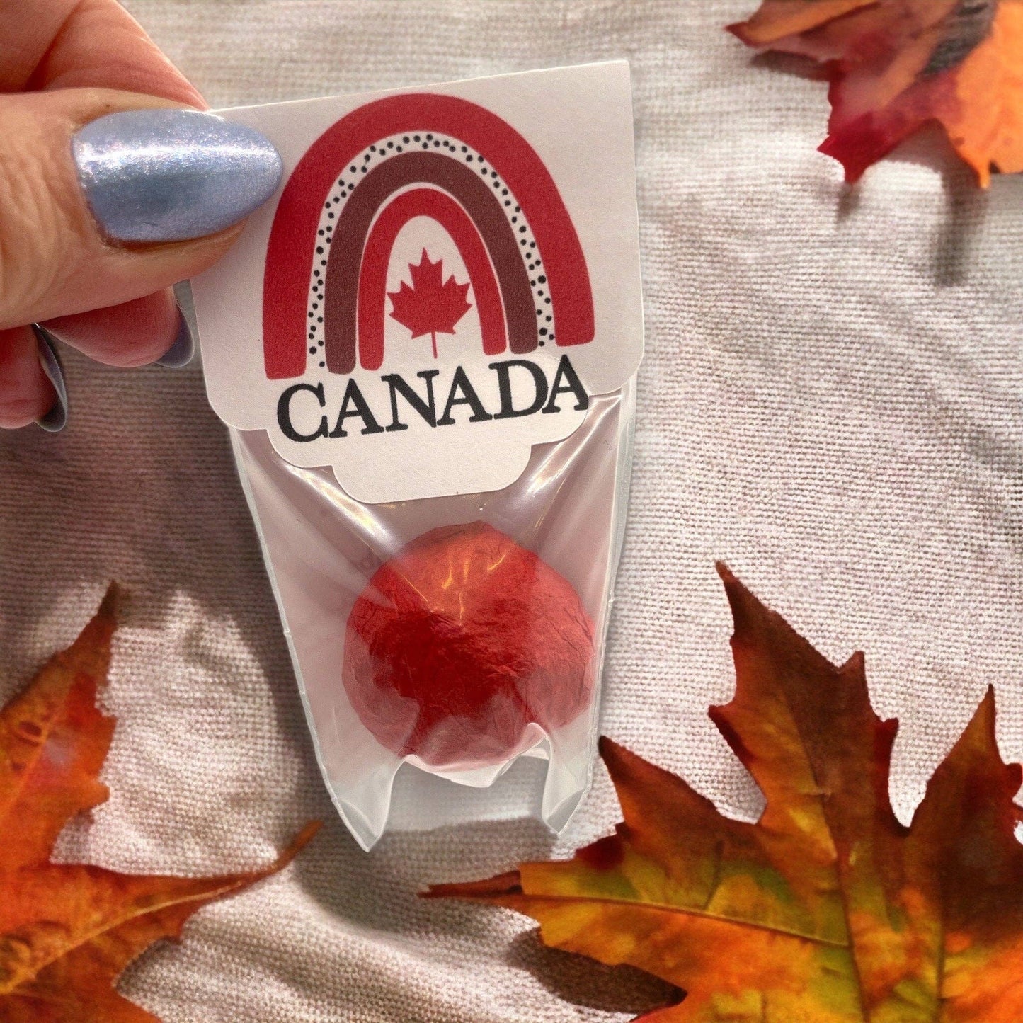Seed Bombs - Canada- Canadian Wildflowers Fuschia Designs Shop