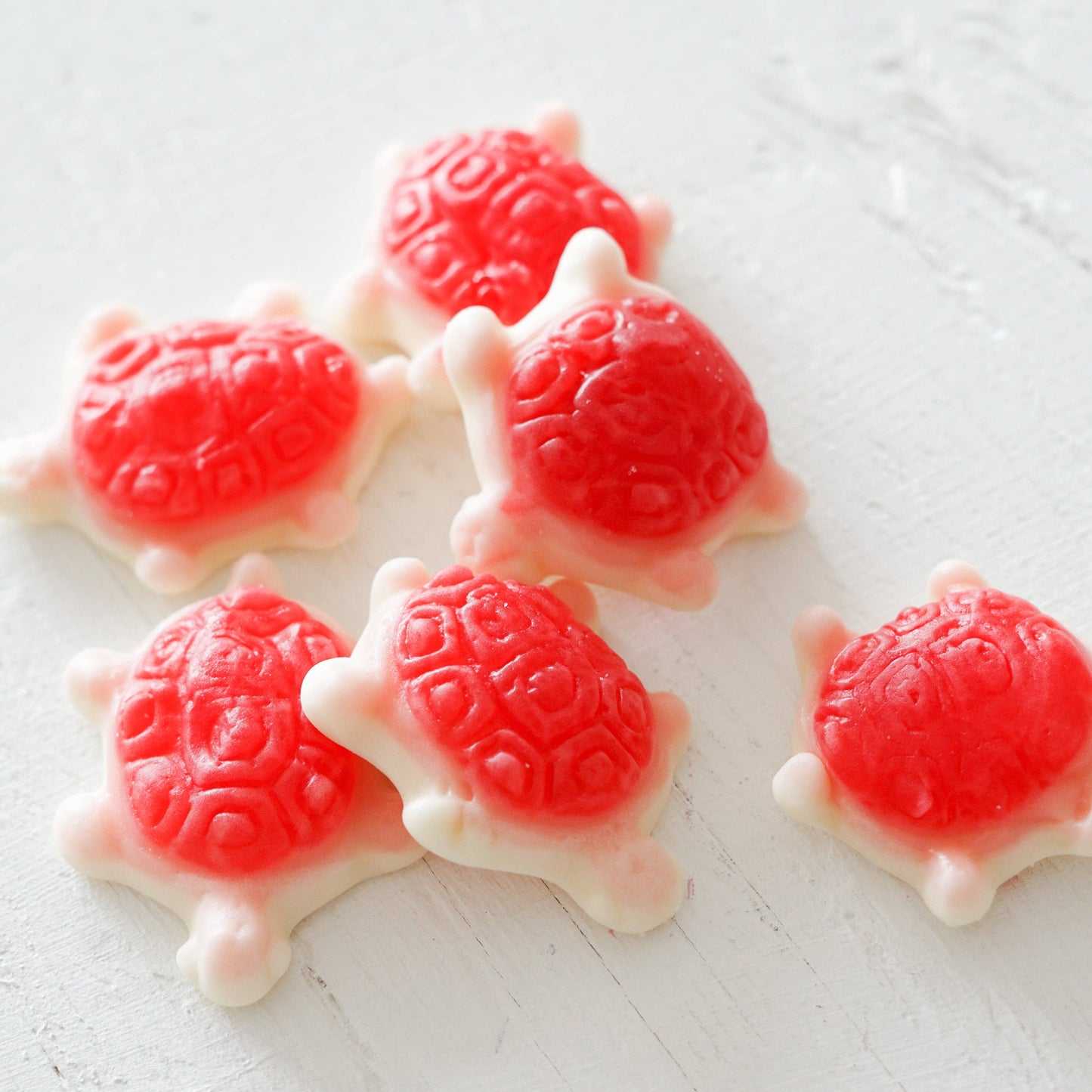 c'est BONBON- Canada - Sea Turtles - Gummy Candies