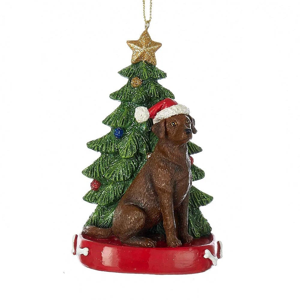 Chocolate Labrador Retriever with Christmas Tree Ornament, KA-C7954