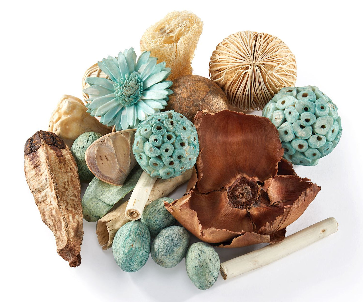 Dried Vase & Bowl Fillers - Teal & Cream