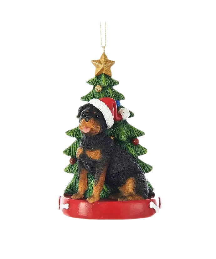 Rottweiler with Christmas Tree Ornament, KA- C7954