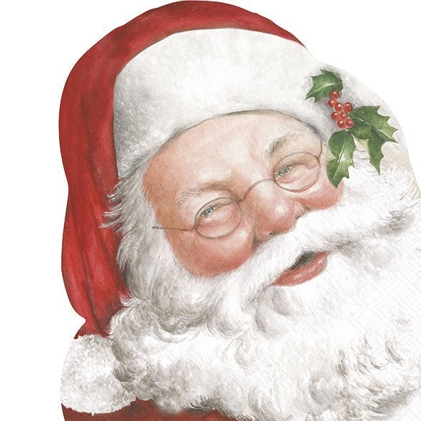 Close-up of a traditional Santa Claus face with a red hat and white beard on a white background.