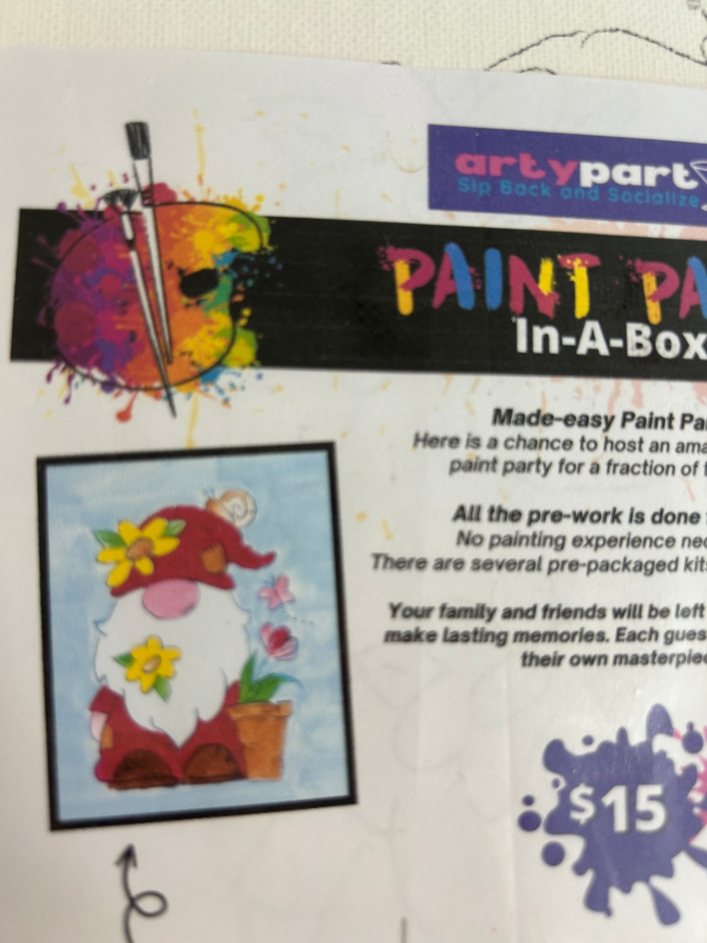 Paint Kit in a Box, Assorted Designs, by Arty Party