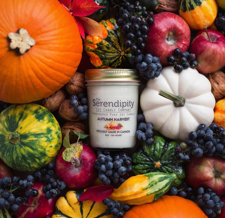 Autumn Harvest Soy Candle, 8 Ounce