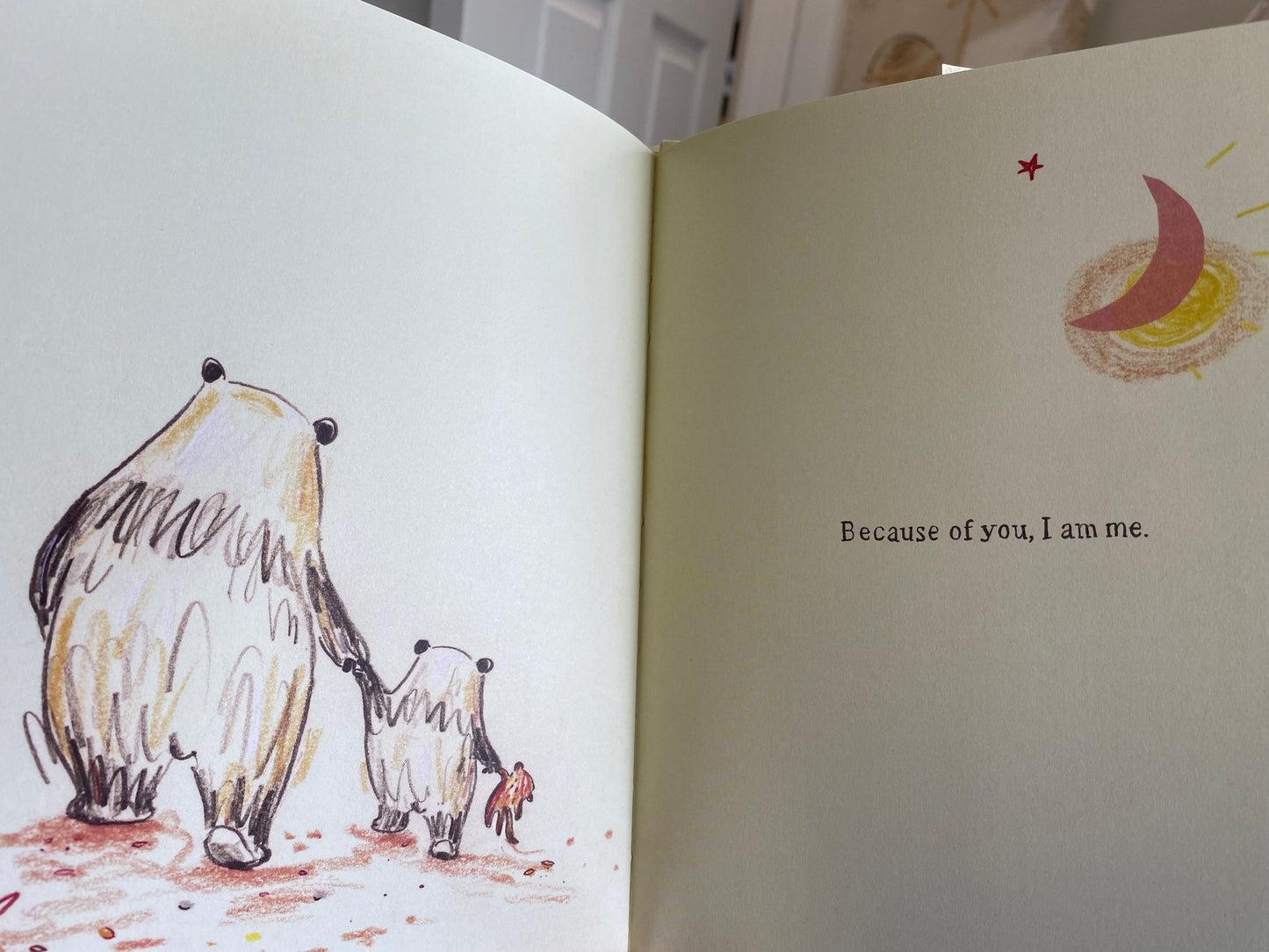 Book; Because of You Dad