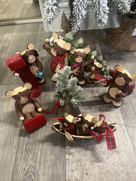 Bear Family Adventures in the Wilderness Gift Box