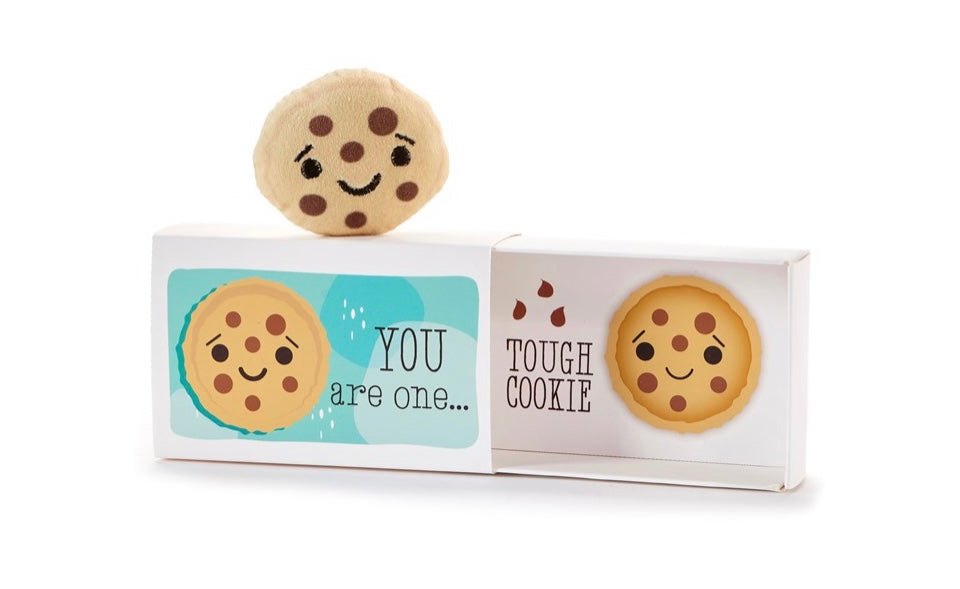 Cookie Pocket Hug with Gift Box