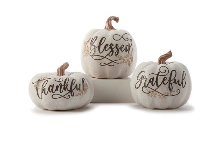 Add rustic charm to your Fall Harvest décor with this white pumpkin styled with a simple sentiment. Available in 3 assorted designs: BLESSED, GRATEFUL, THANKFUL. Polyresin.