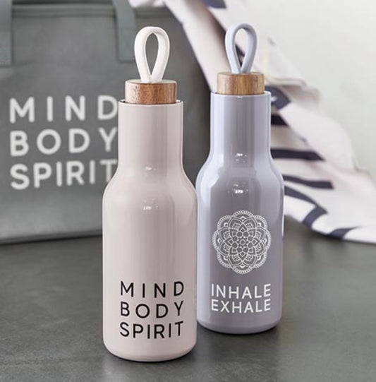 Stainless Steel Water Bottle, 2 Assorted