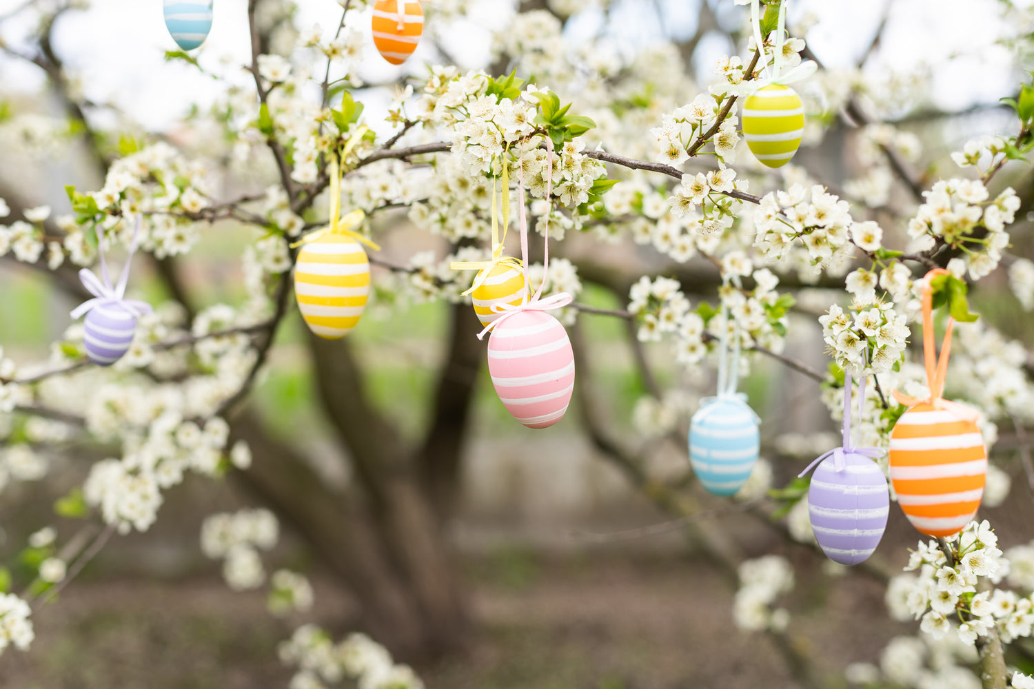 Easter ~ Spring
