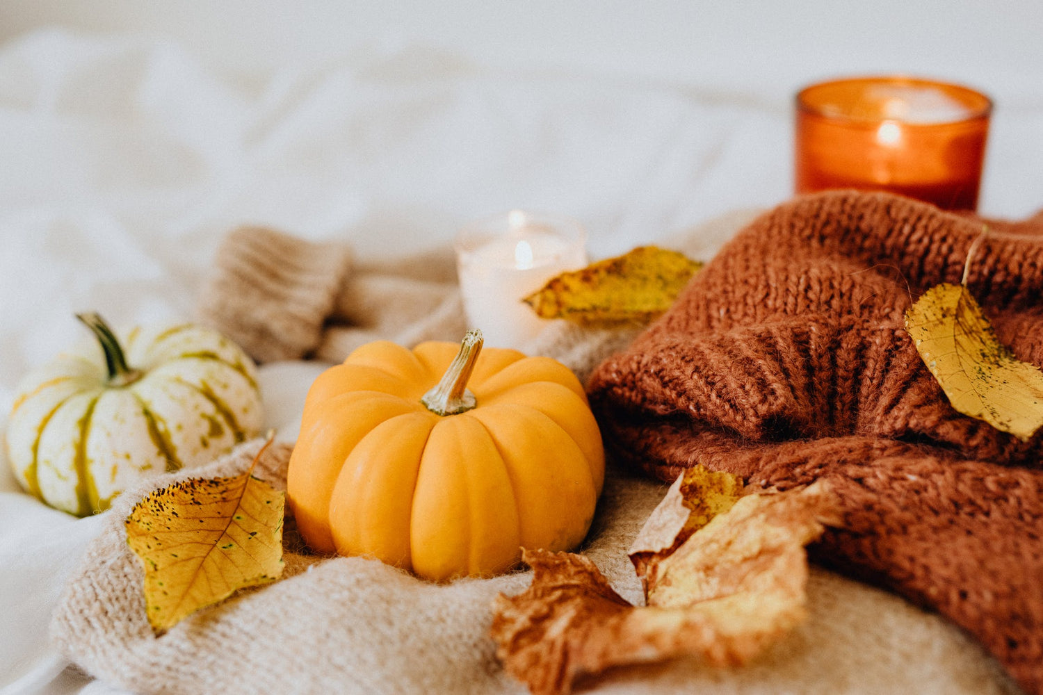 Thanksgiving ~ Harvest