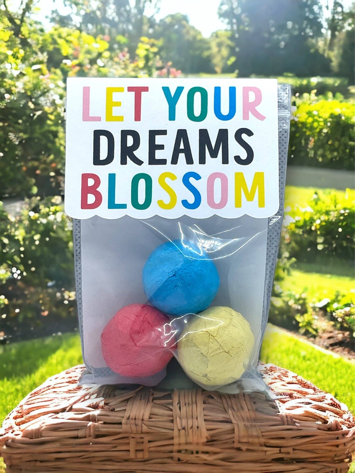 Fuschia Designs Shop - Seed Bombs - Canadian Wildflower - 3 seed bombs /pack