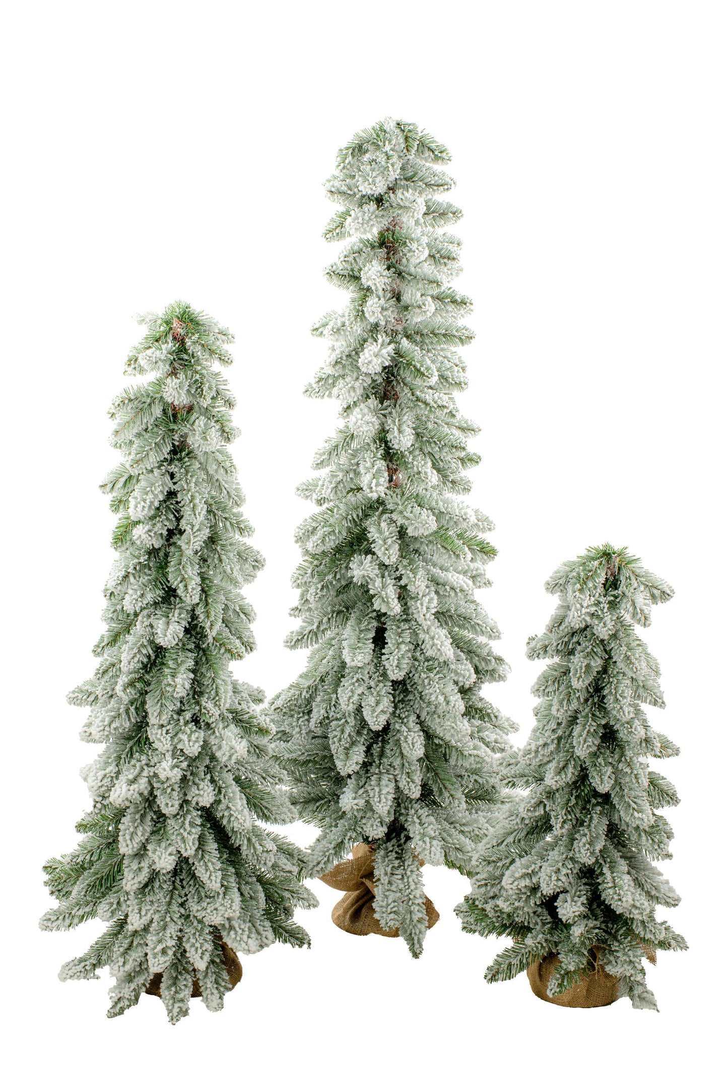 Starlight Collection - Dark Green Frosted Droopy Evergreen Tree Set