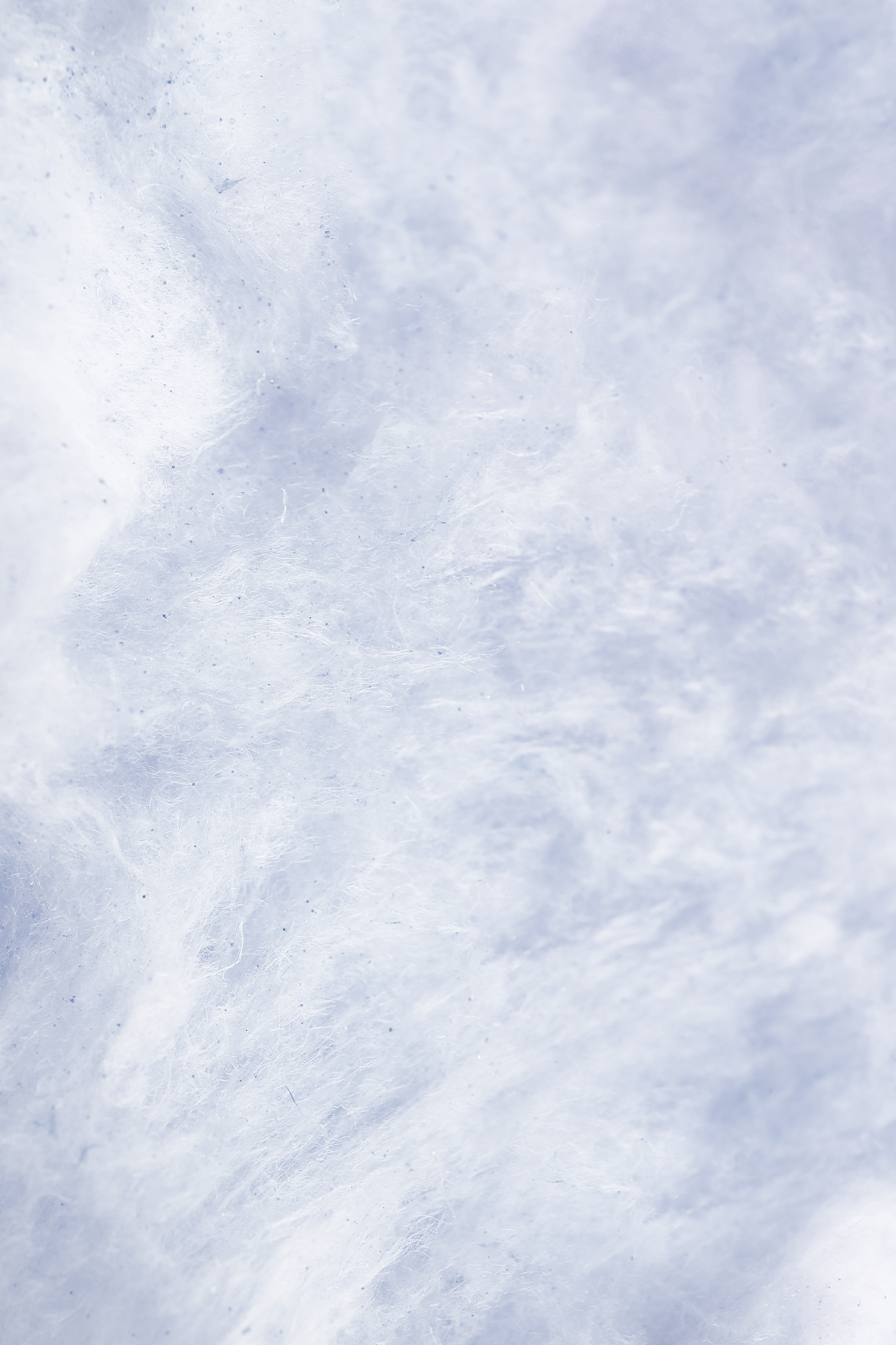 Flossie - Salty Sweet Cotton Candy