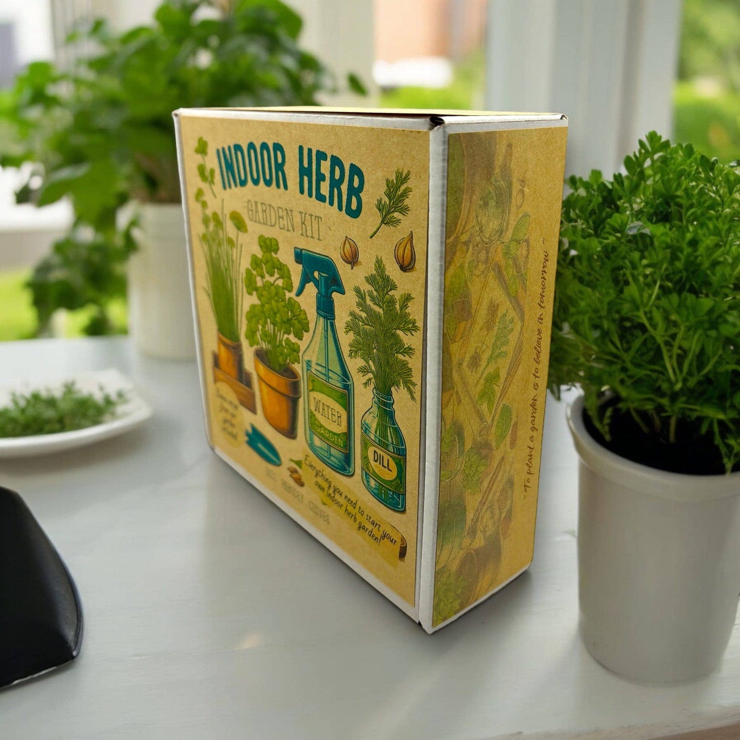 Fuschia Designs Shop - Indoor Herb Garden Starter Kit with Parsley, Chives, and Dill Seeds
