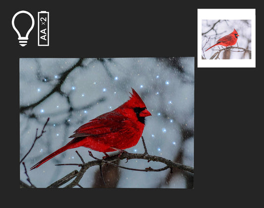 16x12" Canvas with Cardinal On Branch & LED Lights