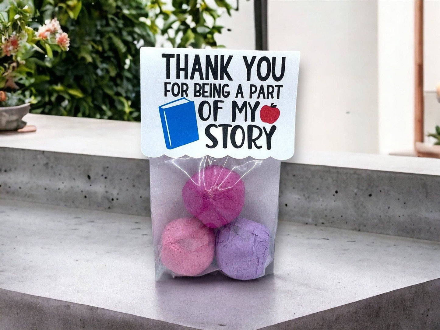 Fuschia Designs Shop - Seed Bombs - Teacher Appreciation Gift to Say Thank You