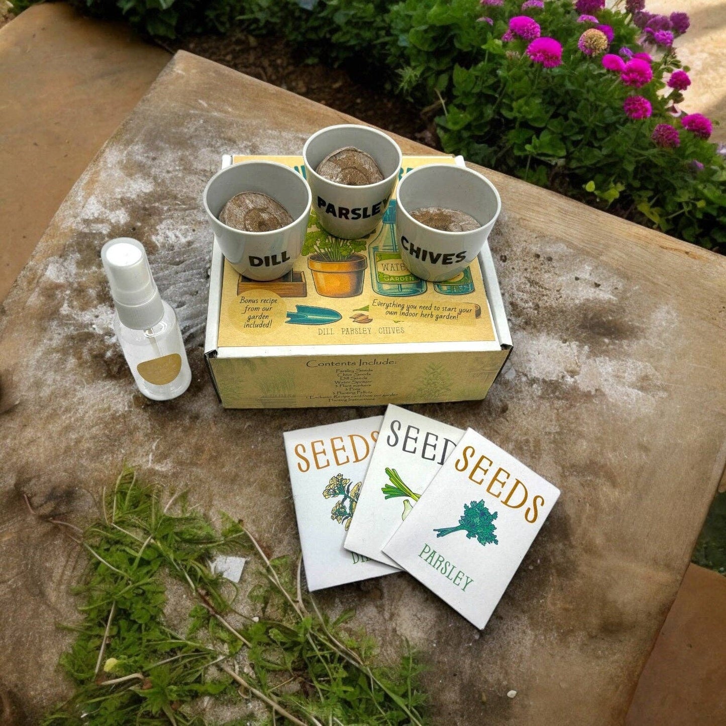 Fuschia Designs Shop - Indoor Herb Garden Starter Kit with Parsley, Chives, and Dill Seeds