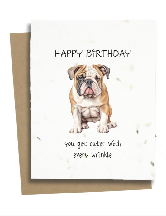 Greet n' Grow Plantable Cards - Happy Birthday Wishes: Wildflower