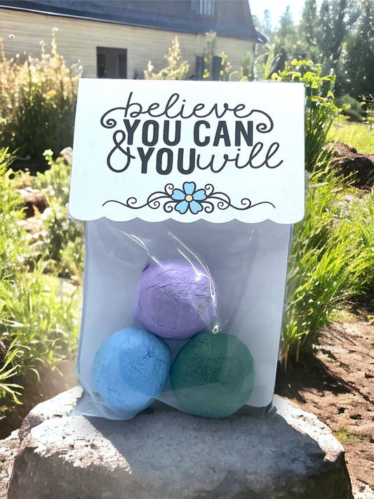Fuschia Designs Shop - Seed Bombs - Canadian Wildflower - 3 seed bombs /pack