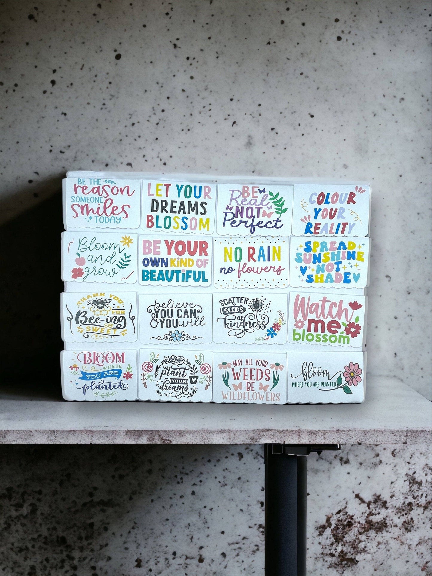 Fuschia Designs Shop - Seed Bombs - Canadian Wildflower - 3 seed bombs /pack