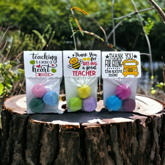 Fuschia Designs Shop - Seed Bombs - Teacher Appreciation Gift to Say Thank You