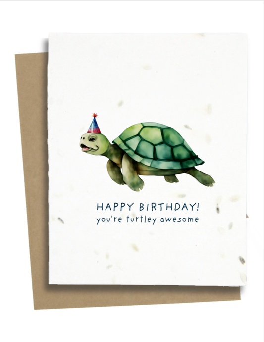 Greet n' Grow Plantable Cards - Turtle Birthday Greetings: Wildflower