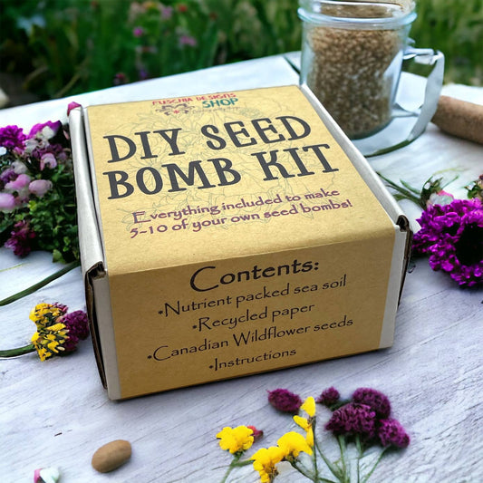 Fuschia Designs Shop - Seed Bombs - DIY Craft Kits