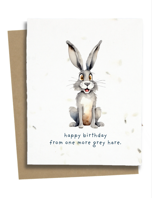 Greet n' Grow Plantable Cards - Happy Birthday Hare Card: Wildflower