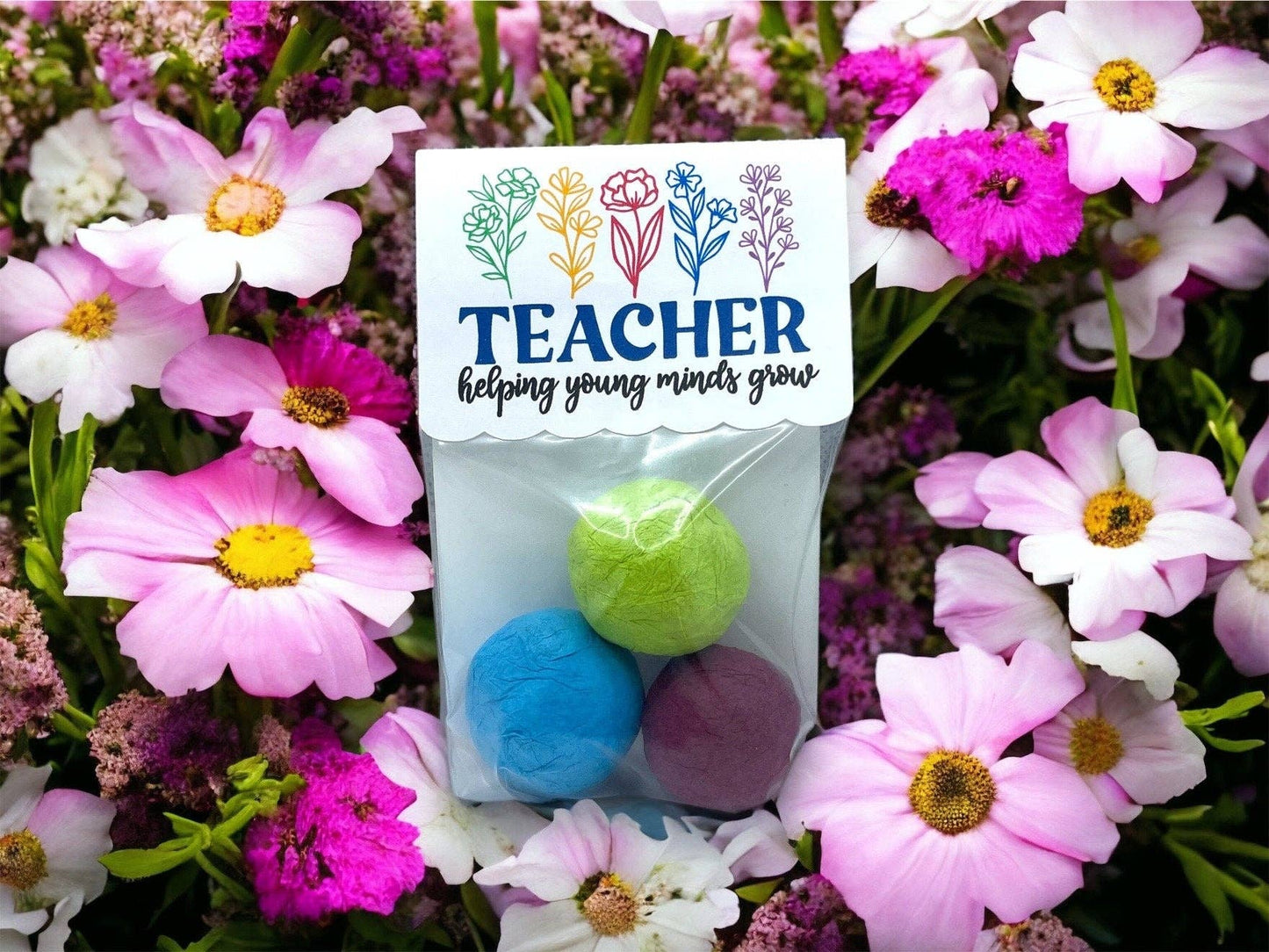 Fuschia Designs Shop - Seed Bombs - Teacher Appreciation Gift to Say Thank You