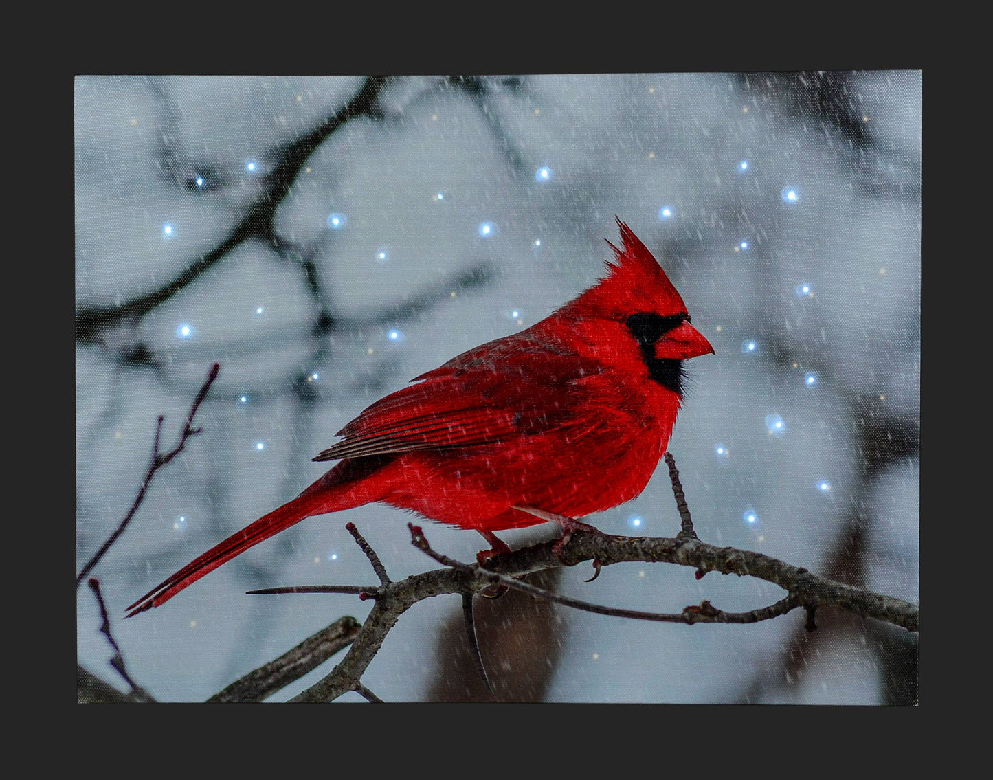 16x12" Canvas with Cardinal On Branch & LED Lights