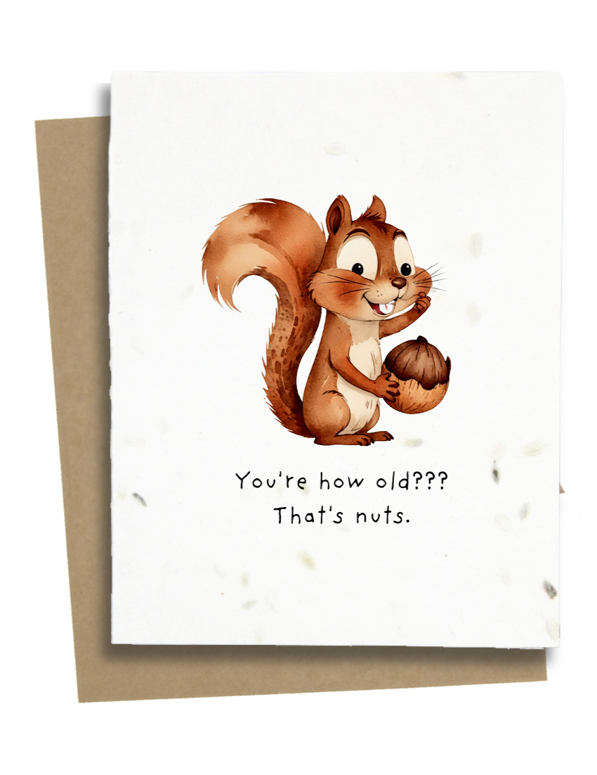 Greet n' Grow Plantable Cards - Squirrel Birthday Card: Wildflower