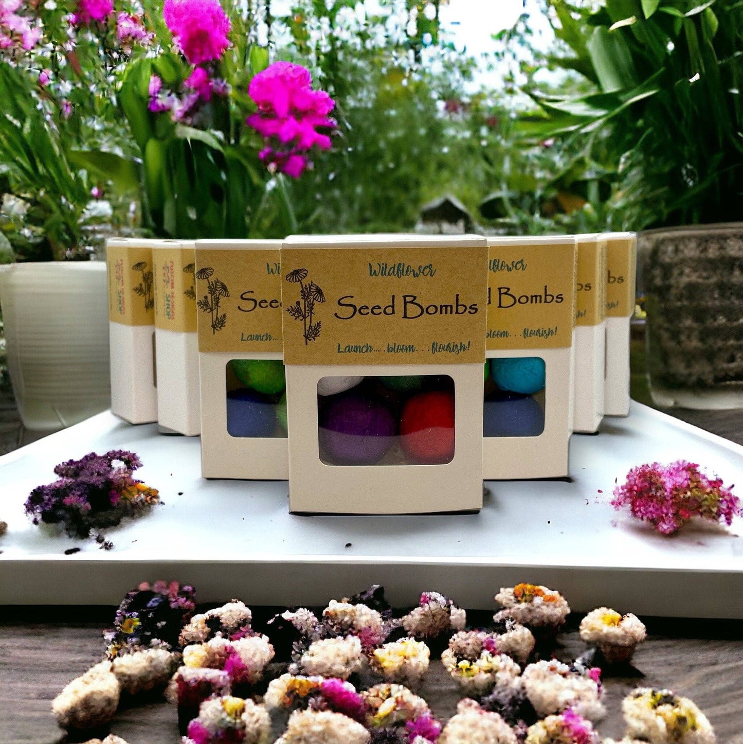 Seed Bombs - 6 Pack - Canadian Wildflower Fuschia Designs Shop